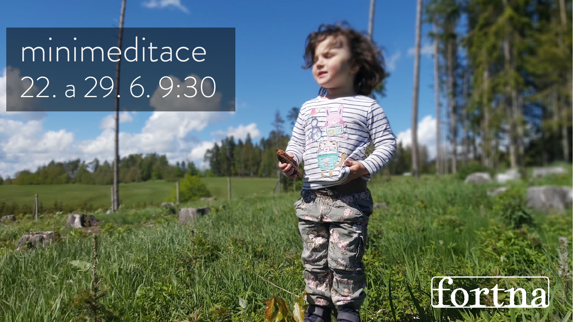 Minimeditace