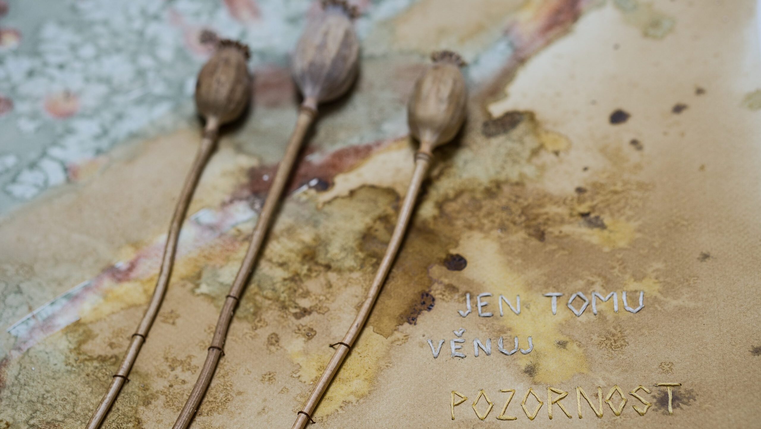 Tvorba a kontemplace