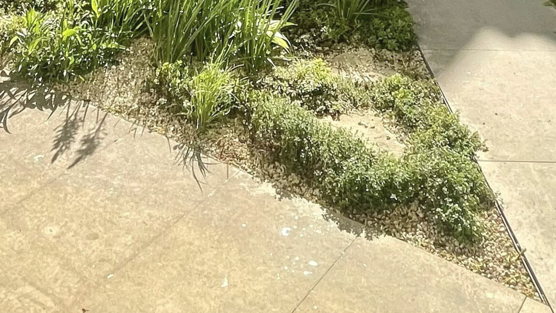 24 hodin postního ticha